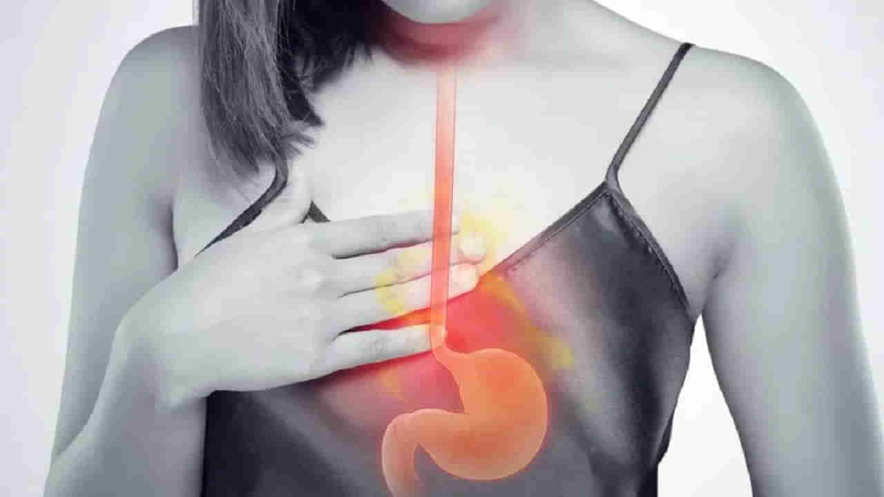 Acid Reflux: యాసిడ్ రిఫ్లక్స్‌తో బాధపడుతున్నారా? ఈ ఆహారాలు అస్సలు తినకండి..