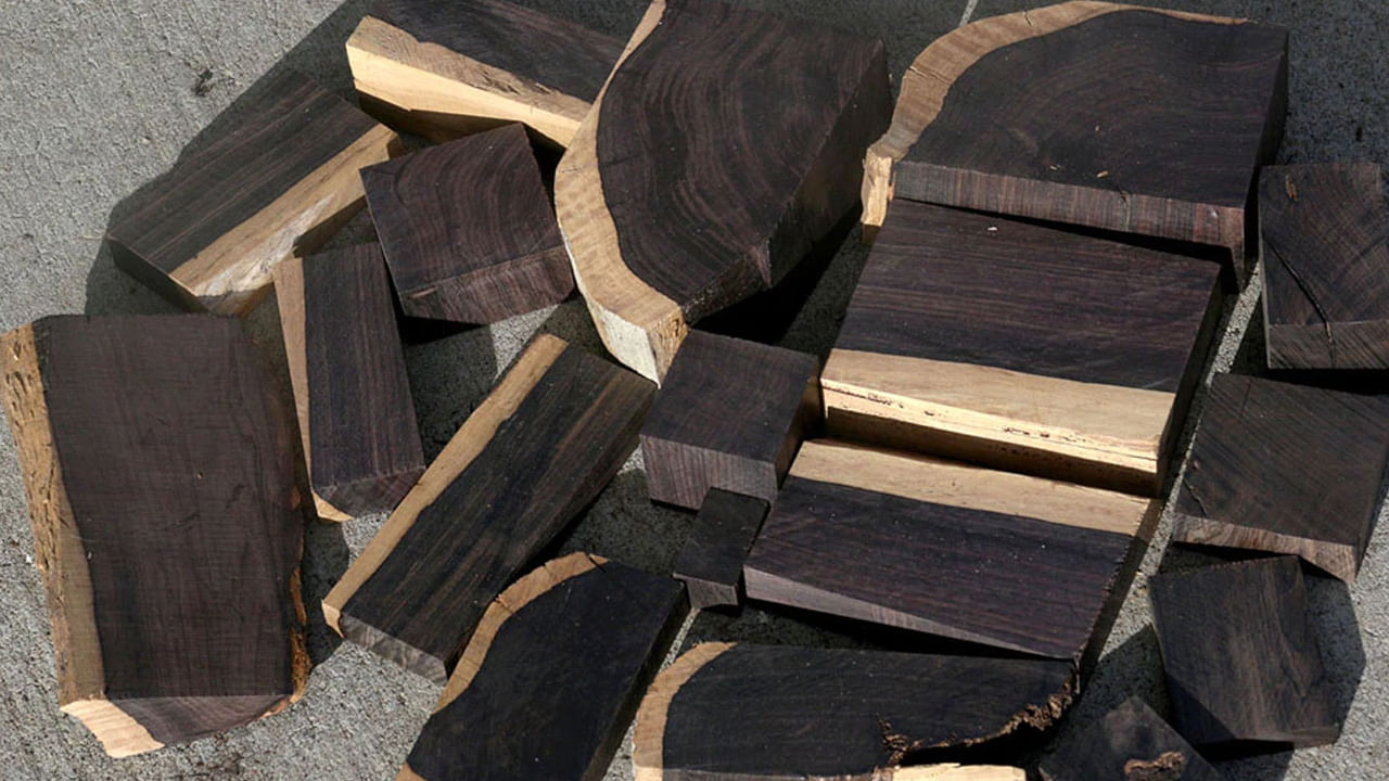 Most Expensive Wood: ప్రపంచంలోనే అత్యంత ఖరీదైన కలప.. దీని మార్కెట్ ధర కిలో బంగరాం కంటే ఎక్కువ..