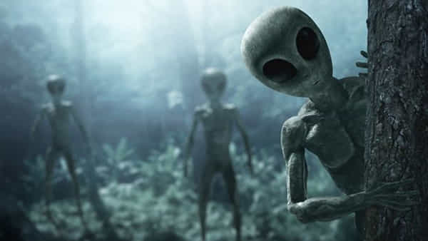 Aliens: మనుషుల స్పెర్మ్, అండాలను దొంగిలిస్తున్న గ్రహాంతరవాసులు.. కారణమిదేనట..!