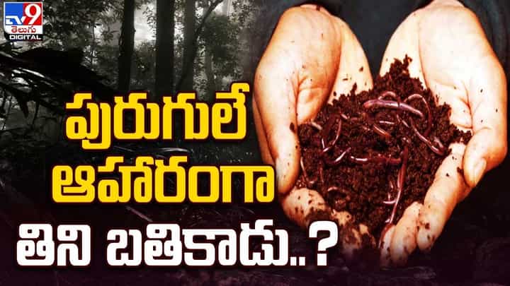 వేటకు వెళ్లి తప్పిపోయాడు.. మూత్రం తాగి, కీటకాలను తింటూ బతికిన యువకుడు.. చివరకు ?? వేటకు వెళ్లి తప్పిపోయాడు.. మూత్రం తాగి, కీటకాలను తింటూ బతికిన యువకుడు.. చివరకు ??