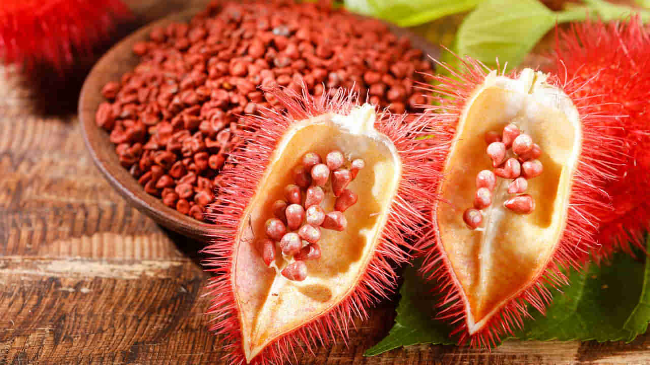 Annatto Seeds: నవయవ్వనంగా కనిపించేందుకు ఈ గింజలను తింటే చాలు.. ఇంకా బోలెడు ఆరోగ్య ప్రయోజనాలు కూడా..!