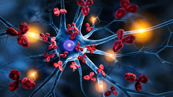 Immunity Damage: ఈ లక్షణాలు కనిపిస్తున్నాయా..? తస్మాత్ జాగ్రత్త.. ఇమ్యూనిటీ దెబ్బతిన్నట్లే..!