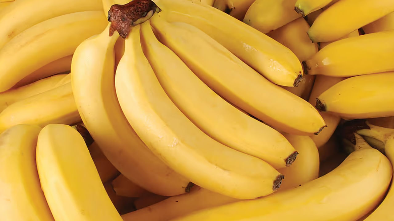 Banana : అరటి పండు తింటే లావైపోతారా.. ఇందులో ఉన్న నిజానిజాలు ఏంటో తెలుసుకోండి.