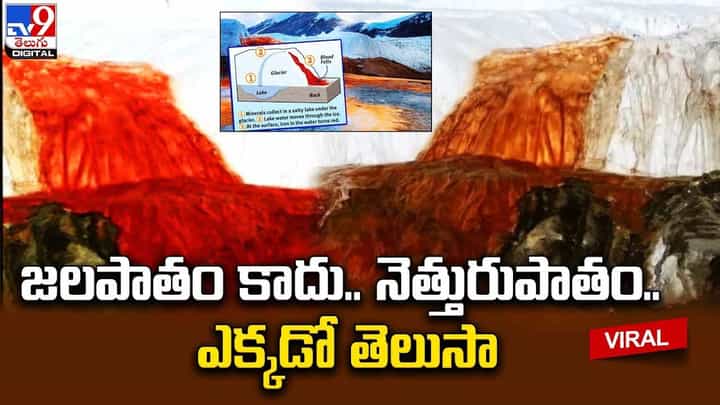 జలపాతం కాదు.. నెత్తురుపాతం.. ఎక్కడో తెలుసా ?? జలపాతం కాదు.. నెత్తురుపాతం.. ఎక్కడో తెలుసా ??