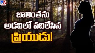 అందంగా అలంకరించుకుంటున్న రామచిలుక !! వీడియో చూస్తే హ్యాట్సాఫ్‌ అనాల్సిందే