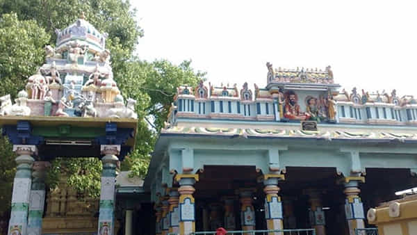 Kadapa: బ్రహ్మంగారి మఠం గ్రామంలో భూ వివాదం.. భూమికి కంచె వేస్తున్న సర్పంచ్.. కారం చల్లి అడ్డుకున్న గ్రామస్థులు