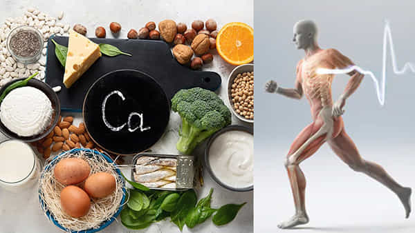 Health Tips: కాల్షియం కోసం తినాల్సిన ఆహారాలివే.. తింటే మీ ఎముకలు, గుండె పటిష్టంగా ఉన్నట్లే..