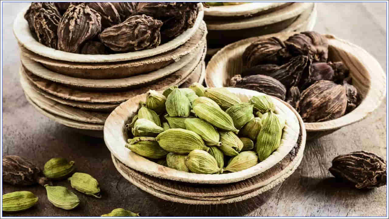 Cardamom: యాలకుల ఖరీదు ఎక్కువ ఉండటానికి కారణం ఏమిటి..? వీటిని ఎలా సాగు చేస్తారు..?