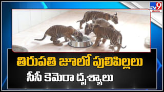 Vijayawada to Shirdi flight: గుడ్‌న్యూస్.. ఇకపై నేరుగా షిరిడీకి విమాన సేవలు..! ధర ఎంతంటే..