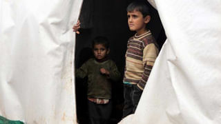 AP News: ఆపరేషన్ మదర్ టైగర్‌లో కీలక పరిణామం.. మరోవైపు కూనలకు ఆహారంగా లివర్