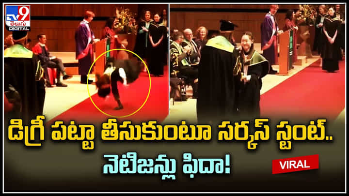Viral Video: కాలేజీ స్నాతకోత్సవంలో దుమ్మురేపిన అమ్మాయి.. స్టంట్ వైరల్ వీడియో.. Viral Video: కాలేజీ స్నాతకోత్సవంలో దుమ్మురేపిన అమ్మాయి.. స్టంట్ వైరల్ వీడియో..