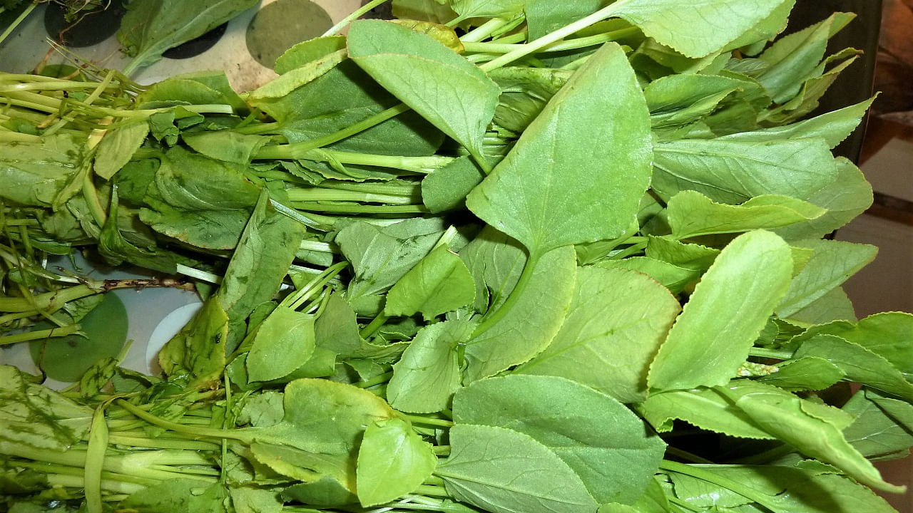 Chukkakura: చుక్కకూరకి క్యాన్సర్కి సంబంధం ఏంటి.. మీరు తింటున్నారా..? అయితే ఇది తెలుసుకోండి