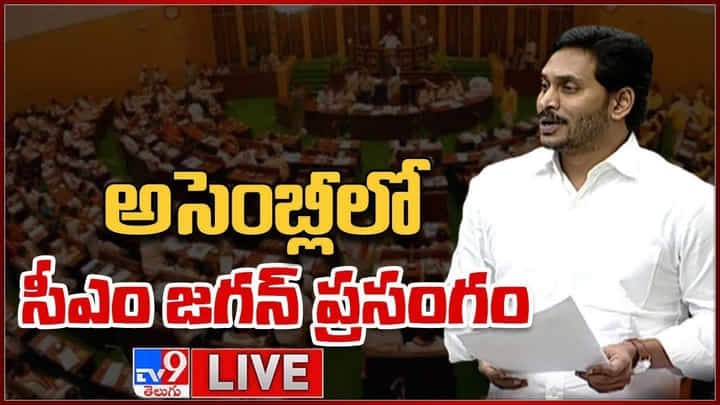 CM Jagan Speech: జీవోలో ఉన్నది వేరు.. ఒప్పందంలో ఉన్నది వేరు.. చంద్రబాబుపై జగన్ సంచలన వ్యాఖ్యలు CM Jagan Speech: జీవోలో ఉన్నది వేరు.. ఒప్పందంలో ఉన్నది వేరు.. చంద్రబాబుపై జగన్ సంచలన వ్యాఖ్యలు