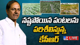 News Watch: కేసీఆర్‌కు ఇంటిపోరు తప్పదా ?? కొత్త పంచాంగంపై టెన్షన్‌