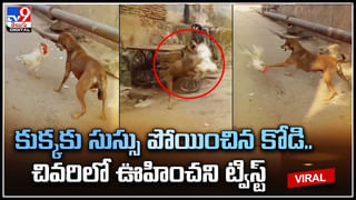 Viral Video:  మహిళలతో అసభ్యంగా ప్రవర్తించిన రాజకీయవేత్త .. కాలర్‌పట్టుకుని చెప్పులతో..