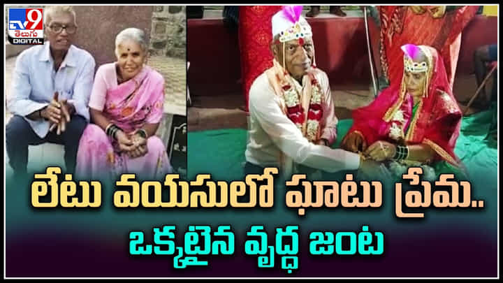 Late Love: లేటు వయసులో ఘాటు ప్రేమ.. ఒక్కటైన వృద్ధ జంట.. వీడియో. Late Love: లేటు వయసులో ఘాటు ప్రేమ.. ఒక్కటైన వృద్ధ జంట.. వీడియో.