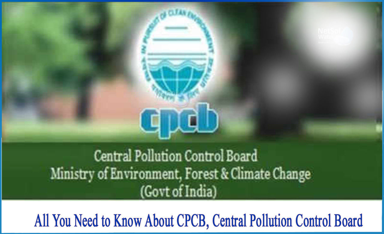 CPCB Jobs: నెలకు రూ.1,77,500ల జీతంతో సెంట్రల్‌ పొల్యూషన్‌ కంట్రోల్‌ బోర్డులో ఉద్యోగాలు.. టెన్త్‌/ఇంటర్‌ అర్హత..