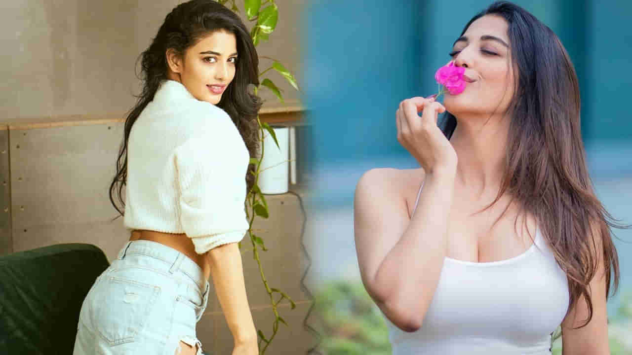 Daksha Nagarkar : మతిపోగొడుతోన్న ముద్దుగుమ్మ.. దక్షా ఇలా చేస్తే ఇక అంతే..