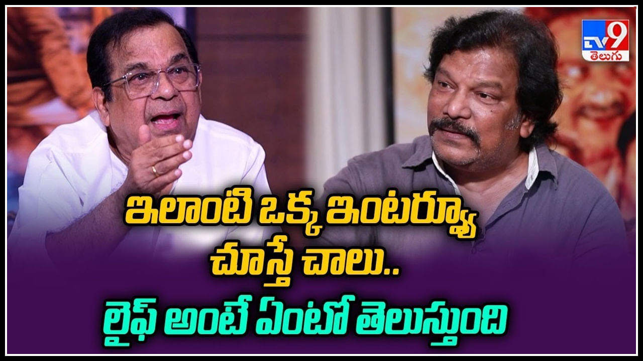 Krishna Vamsi - Brahmanandam: ఇలాంటి ఒక్క ఇంటర్వ్యూ చూస్తే చాలు.. లైఫ్ అంటే ఏంటో తెలుస్తుంది.