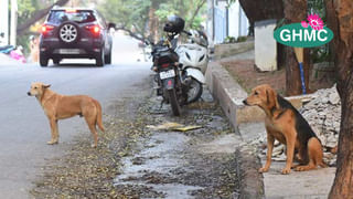 తాను మరణించి.. అవయవ దానంతో పలువురుకి జీవం పోశాడు.. ఆ వ్యవసాయ కూలీ అమరుడే