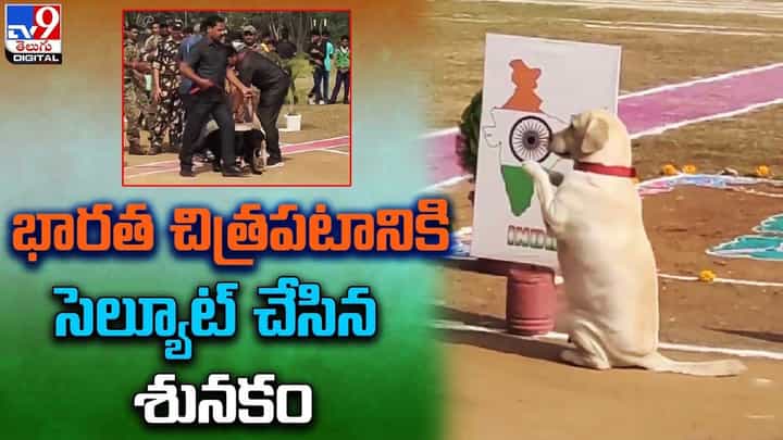 భారత చిత్రపటానికి సెల్యూట్ చేసిన శునకం.. జైహింద్ అంటూ కామెంట్లతో హోరెత్తిస్తున్న నెటిజన్లు భారత చిత్రపటానికి సెల్యూట్ చేసిన శునకం.. జైహింద్ అంటూ కామెంట్లతో హోరెత్తిస్తున్న నెటిజన్లు