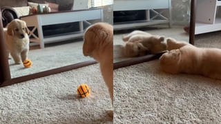 Funny Video: ‘నాతోనే ఆటలా..?’ యూట్యూబర్‌నే ఆటపట్టించిన ఆంటీ.. వైరల్ అవుతున్న వీడియో..