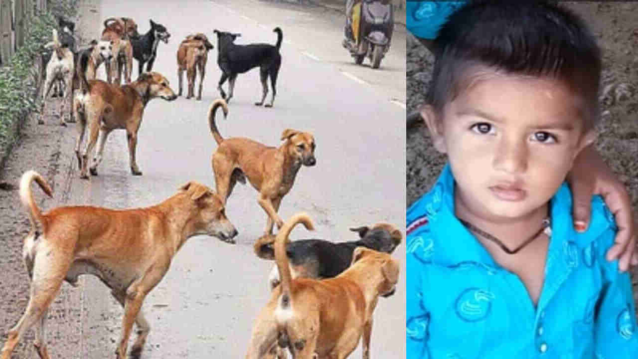 Telangana: అయ్యో దేవుడా.. మరో చిన్నారి ప్రాణం తీసిన కుక్కలు.. ఇంటి బయట ఆడుకుంటుండగా..