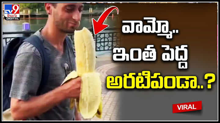 Banana: వామ్మో.. ఇంత పెద్ద అరటిపండా..? ఈ అరటిపండు తినాలంటే.. Banana: వామ్మో.. ఇంత పెద్ద అరటిపండా..? ఈ అరటిపండు తినాలంటే..