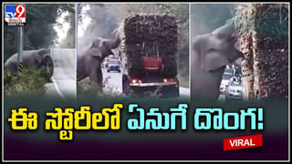 Viral Video: బైక్‌ ట్యాక్సీ రైడర్‌తో ఆటో డ్రైవర్ దురుసు ప్రవర్తన.. వీడియో వైరల్..