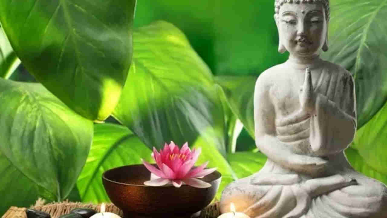 Fengshui Tips: ఈ మొక్కను ఇంట్లో ఉంచడం వల్ల కెరీర్‌లో సమస్యలు.. సుఖ సంపదల కోసం ఈ చర్యలు చేయండి