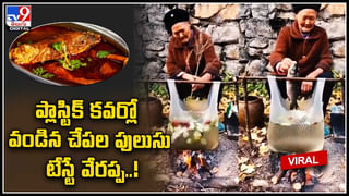 Viral Video:  పులి బోనులో ఎరగా కోడి.. చోరీకి యత్నించిన వ్యక్తి..చివరికి..