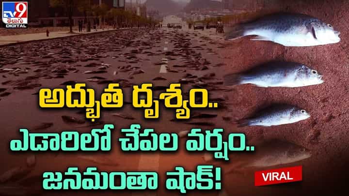 అద్భుత దృశ్యం.. ఎడారిలో చేపల వర్షం.. జనమంతా షాక్ !! అద్భుత దృశ్యం.. ఎడారిలో చేపల వర్షం.. జనమంతా షాక్ !!