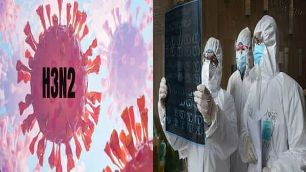 H3N2 virus: నిజంగానే హెచ్3ఎన్2 ప్రాణాలను తీసేంత డేంజరా.? వైద్యులు చెబుతున్న ఆసక్తికర విశేషాలు.