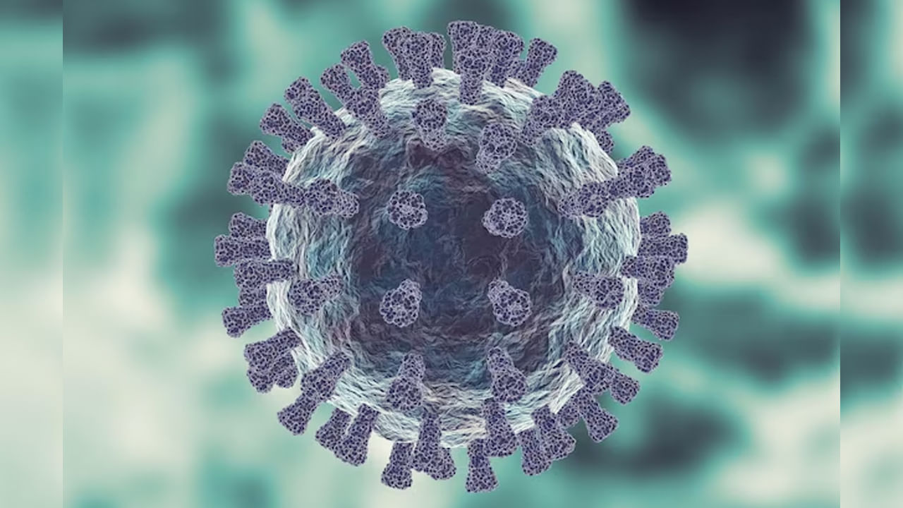 H3N2 Virus: మనుషులను బలి తీసుకుంటున్న కొత్త వైరస్‌.. ఆ రాష్ట్రాల్లో రెండు మరణాలు నమోదు.
