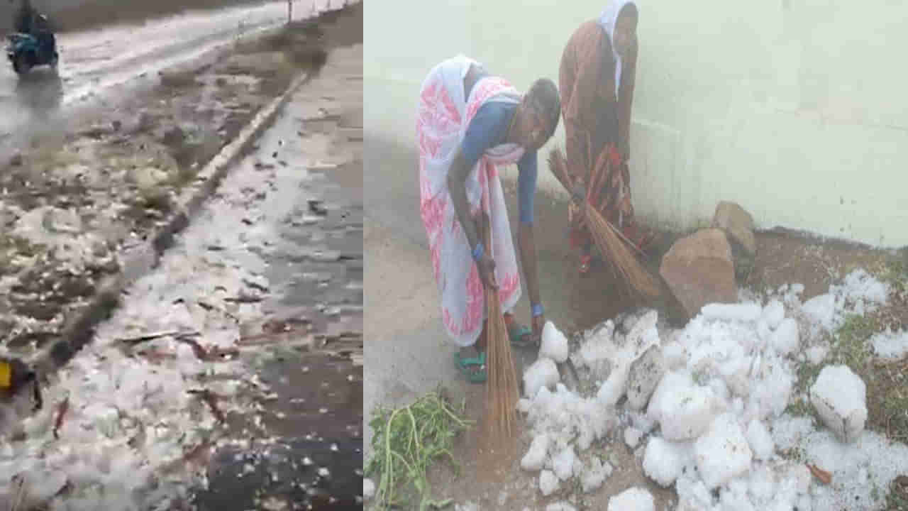 Hail Storm: తెలుగు రాష్ట్రాల్లో మిసైల్ దాడిలా వడగళ్ల వాన.. అకాల వర్షాలతో భారీగా పంట నష్టం..