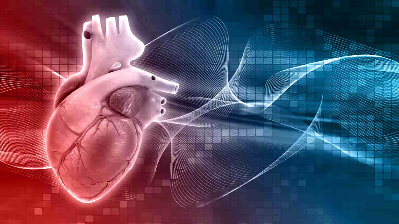 Heart Health: మీ ఆహారంలో వీటిని చేర్చుకుంటే గుండె సమస్యలు దూరం.. అవేంటో తెలుసుకోండి