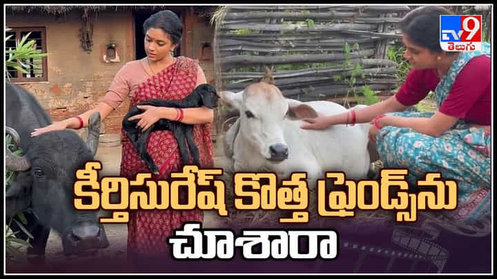 Keerthy Suresh: కీర్తిసురేష్ కొత్త ఫ్రెండ్స్ను చూశారా..? ఇలాంటి వీడియో ఇప్పటి వరకు చూసుండరు. Keerthy Suresh: కీర్తిసురేష్ కొత్త ఫ్రెండ్స్ను చూశారా..? ఇలాంటి వీడియో ఇప్పటి వరకు చూసుండరు.