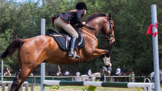 అయ్యో పాపం.. హైదరాబాద్‌లో విషాదం.. భార్య  పిల్లలు సహా సాఫ్ట్ వేర్ ఉద్యోగి  ఆత్మహత్య..