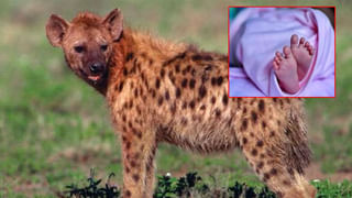 Viral: ‘నా భార్య అలిగింది.. 10 రోజుల లీవ్ ఇవ్వండి’.. ఎస్పీకి ఇన్‌స్పెక్టర్ లేఖ..