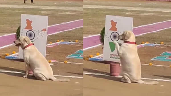Patriotic Dog: జంతువులకు కూడా దేశభక్తి ఉంటుందా..? వీడియో చూస్తే ‘అవును’ అని అనకుండా ఉండలేరు..