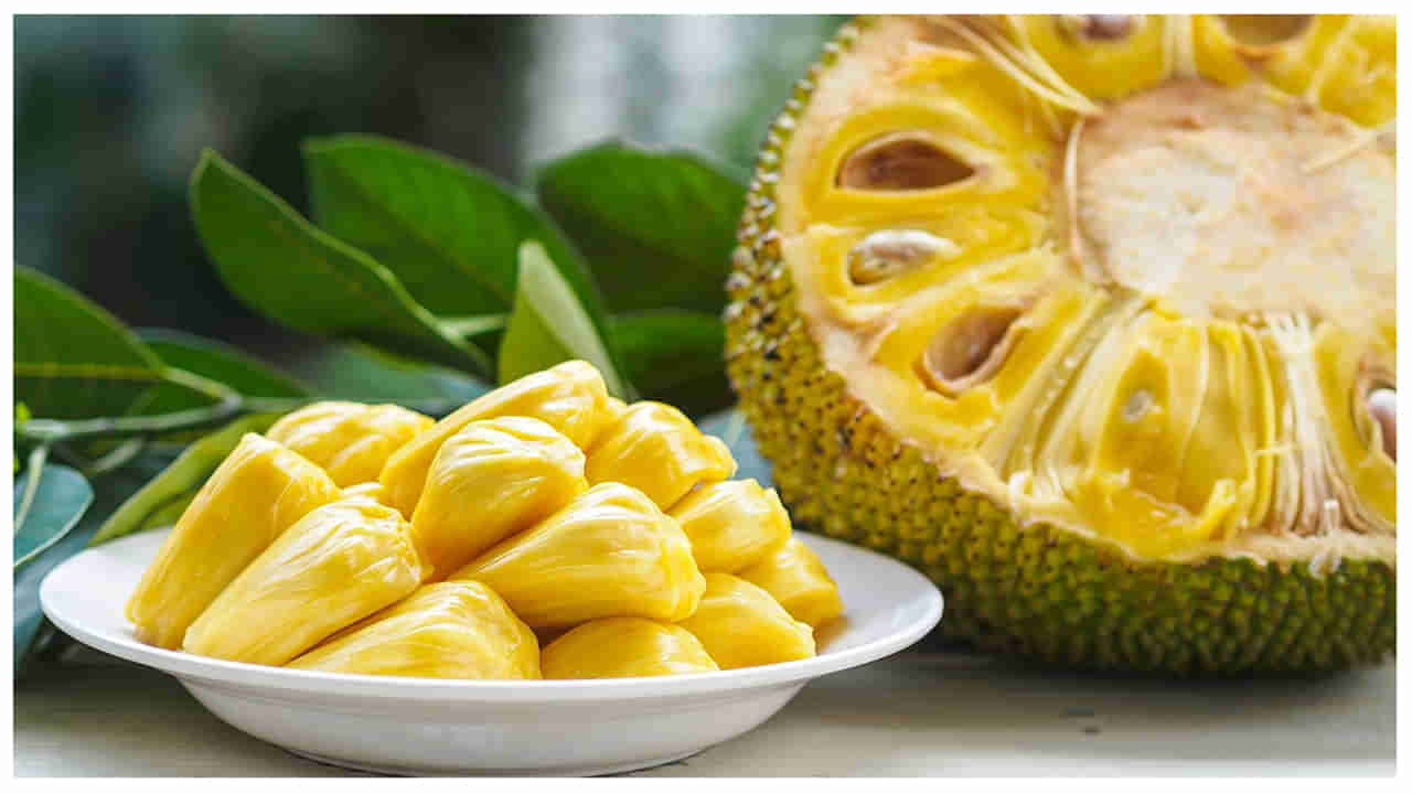 Jackfruit Benefits: పనస పండుతో ఆ సమస్యలు పరార్‌.. 9 అద్భుతమైన ఉపయోగాలు