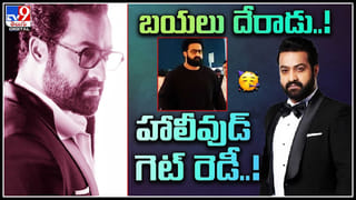 Photo Puzzle: దమ్ముంటే కనుక్కోండంటున్న పిల్లి.. జస్ట్ 5 సెకన్లు.. గుర్తిస్తే మీరే తోపు..