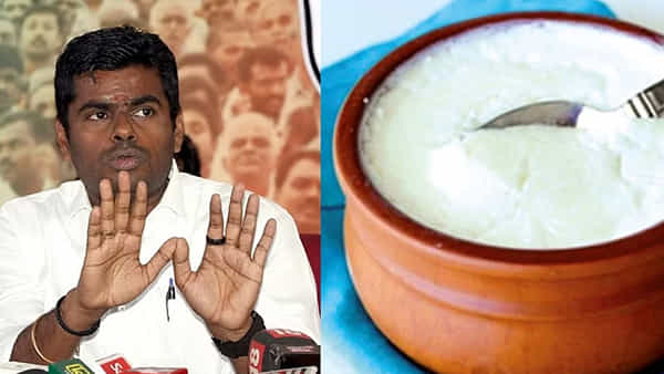 Dahi Controversy: సీఎం స్టాలిన్కి జే కొట్టిన అన్నామలై.. దహీ నోటిఫికేషన్ను వెనక్కి తీసుకోవాలని డిమాండ్