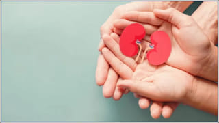 Eyes Straining: ఫోన్ వినియోగంతో కళ్ల ఆరోగ్యానికి పెద్ద దెబ్బ… ఈ టిప్స్‌తో మీ కళ్లు సేఫ్..