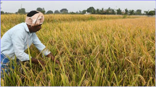 Andhra Pradesh: పవన్‌వి కిరాయి పాలిటిక్స్.. లోకేష్‌ది ఫేక్‌ పాదయాత్ర.. హీటెక్కిస్తున్న మంత్రుల కామెంట్స్..