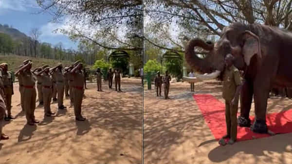 Viral Video: గుండె బరువెక్కింది.. కళ్లు చెమ్మగిల్లాయి.. నిన్ను మర్చిపోలేం హార్ట్ టచింగ్ వీడియో