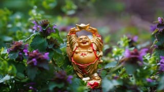 Dreams: కలలో మీకు ఇవి కనిపిస్తున్నాయా.? అయితే అది దేనికి సంకేతమో తెలుసుకోండి..