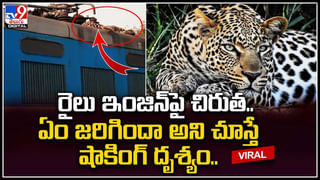 Viral Video: ఇంకెన్ని విడ్డూరాలు చూడాల్సి వస్తుందో.. ఏడాది చిన్నారి మెదడులో పెరుగుతున్న పిండం..!