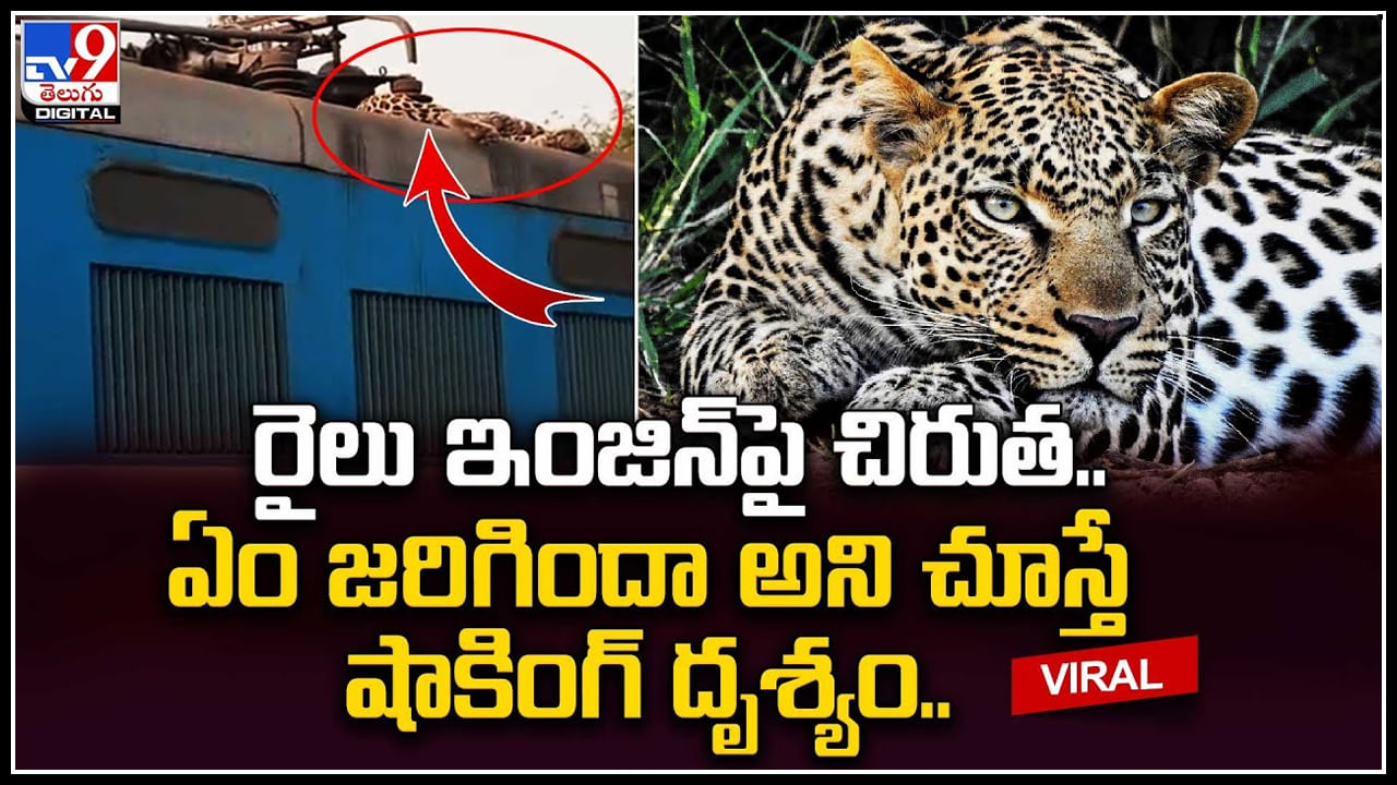 Leopard on Train: రైలు ఇంజిన్‌పై చిరుత..! ఏం జరిగిందా అని చూస్తే షాకింగ్‌.. వీడియో వైరల్.