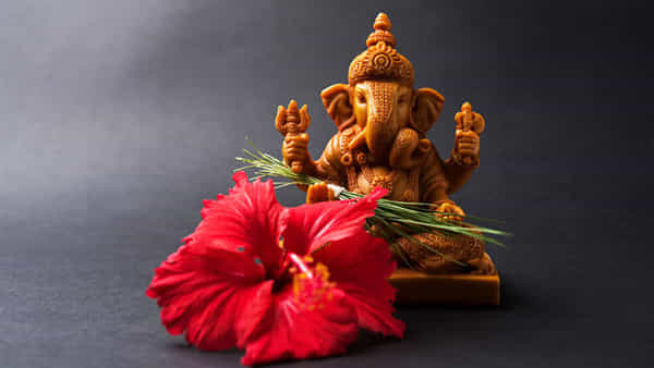 Flowers-Gods: ఏ దేవుడికి ఏయే పూలతో పూజ చేయాలి..? ఎలా పూజిస్తే కోరిన కోర్కెలు నెరవేరుతాయి.. తెలుసుకుందాం రండి..